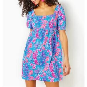 Lilly Pulitzer Delaney Dress Size 6 Pink Blue